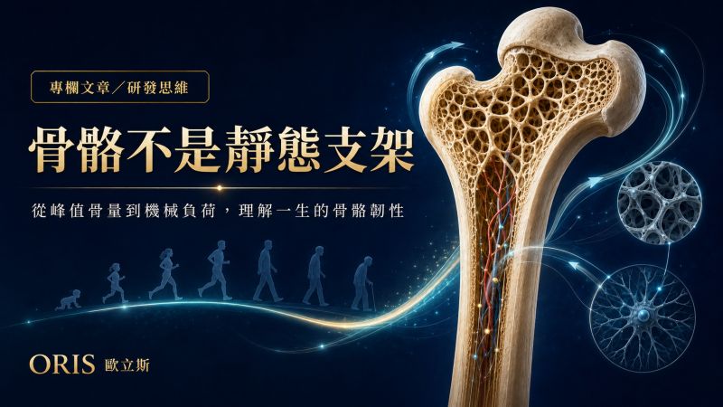 骨骼不是靜態支架：從峰值骨量到機械負荷，理解一生的骨骼韌性